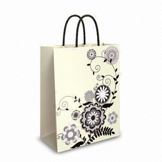 Paper Packaging Bag, Paper Shopping Bag, Paper Bag Printing